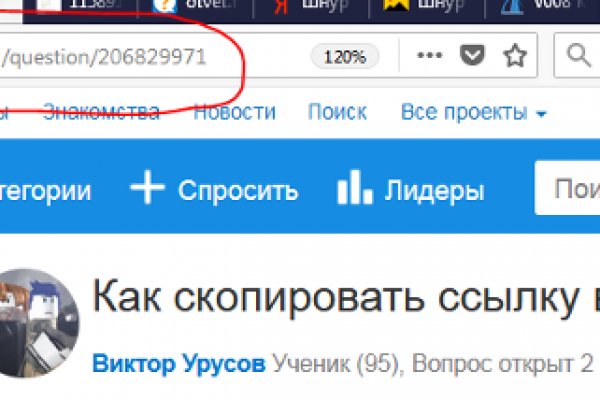 Почему не работает кракен