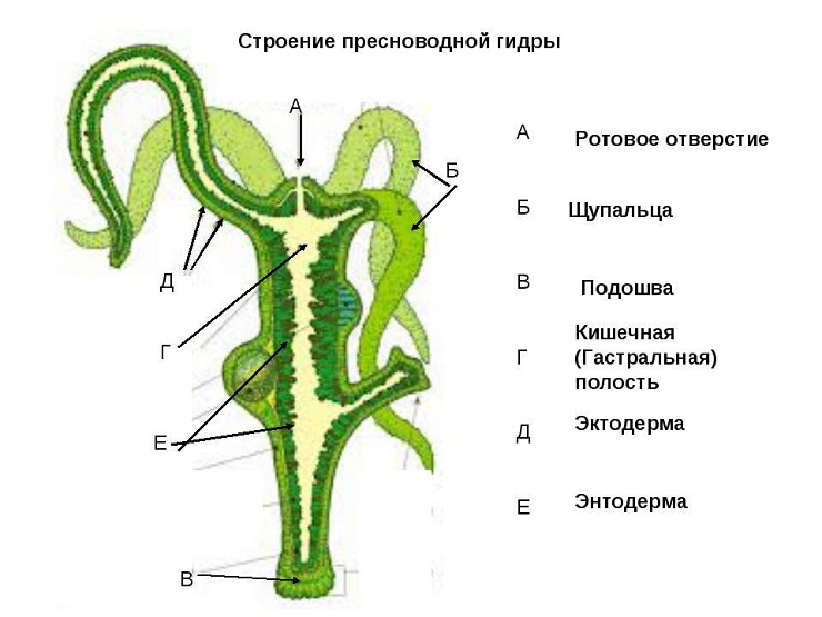 Кракен маркет зеркало